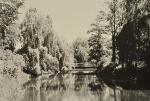 Hf_1261 Hf_1261